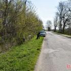 zdjęcie nr 41