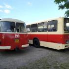 zdjęcie nr 51