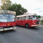 zdjęcie nr 50