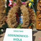 zdjęcie nr 7