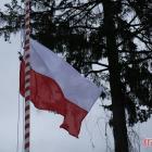zdjęcie nr 24