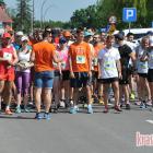 zdjęcie nr 82