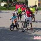 zdjęcie nr 185