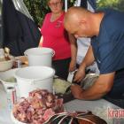 zdjęcie nr 45