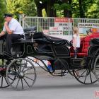 zdjęcie nr 24