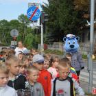 zdjęcie nr 42