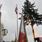 zdjęcie nr 48