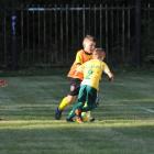 zdjęcie nr 23