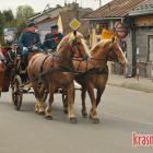 zdjęcie nr 120