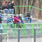 zdjęcie nr 50