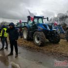 Fotka nr 5 z 17