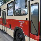 zdjęcie nr 131