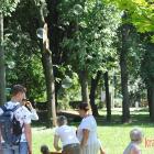 zdjęcie nr 56