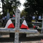 zdjęcie nr 17