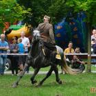 zdjęcie nr 234