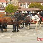zdjęcie nr 123