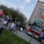 zdjęcie nr 49
