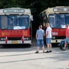 zdjęcie nr 211