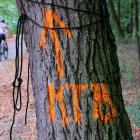 zdjęcie nr 32