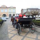 zdjęcie nr 80