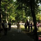 zdjęcie nr 15
