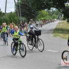zdjęcie nr 164