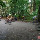 zdjęcie nr 117