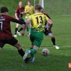 zdjęcie nr 17
