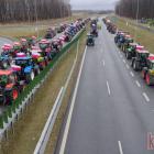 zdjęcie nr 13