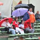 zdjęcie nr 165