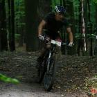 zdjęcie nr 354