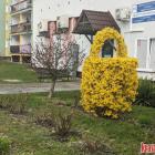 zdjęcie nr 7