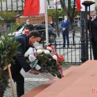 zdjęcie nr 15