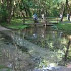 zdjęcie nr 24