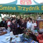 zdjęcie nr 71