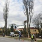 zdjęcie nr 7