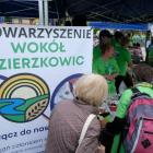 zdjęcie nr 465