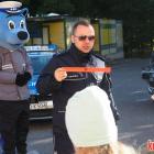 zdjęcie nr 15