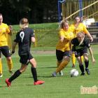 zdjęcie nr 215