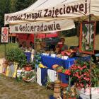 zdjęcie nr 9