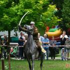 zdjęcie nr 227