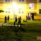 zdjęcie nr 12