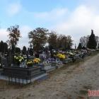 zdjęcie nr 24
