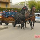 zdjęcie nr 108