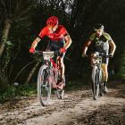 zdjęcie nr 191