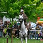 zdjęcie nr 221