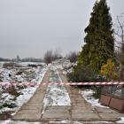 zdjęcie nr 27