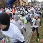 zdjęcie nr 201
