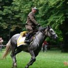 zdjęcie nr 230