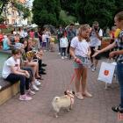 zdjęcie nr 165